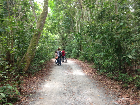 f0201320_2354879.jpg