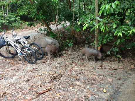f0201320_335241.jpg