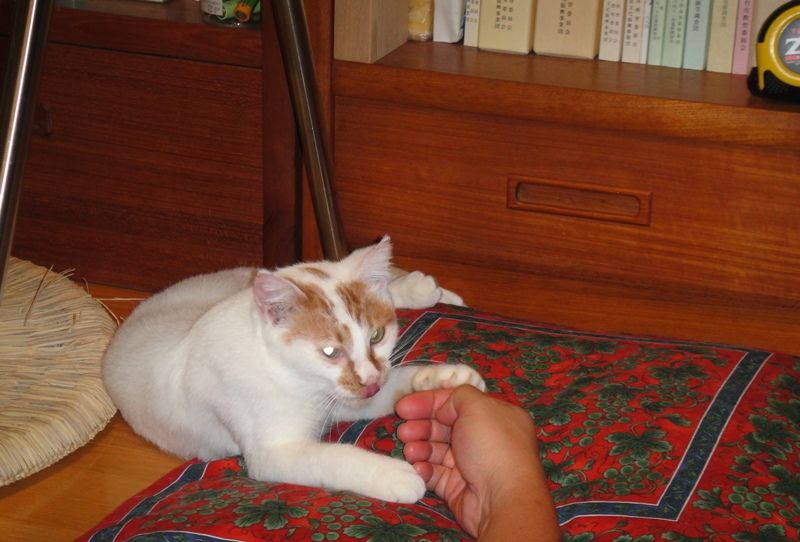 a0304423_0124843.jpg