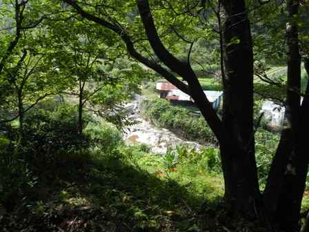 f0213825_1446217.jpg