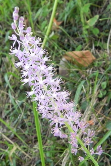 f0213825_154278.jpg