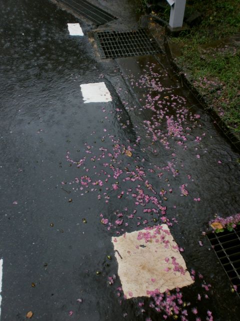 b0082732_2251317.jpg