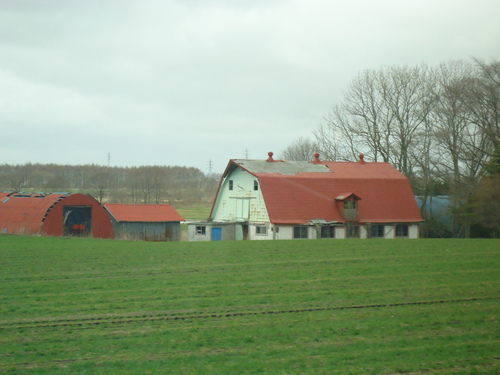 a0162635_15414127.jpg