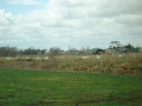 a0162635_15422274.jpg