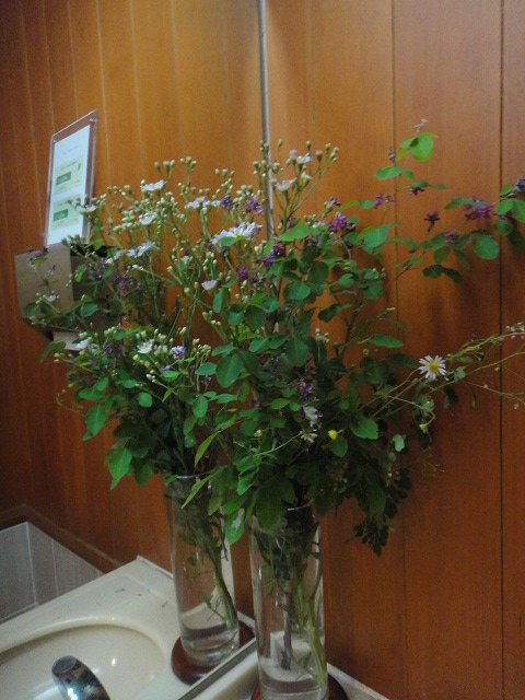 f0208737_8135648.jpg