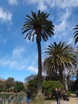 e0238838_18384970.jpg