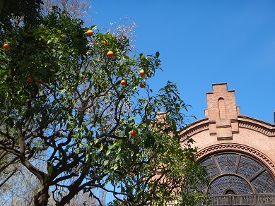 e0238838_18431662.jpg
