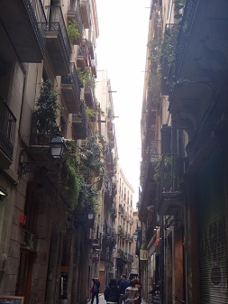 e0238838_1914250.jpg