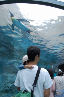 e0221739_955324.jpg