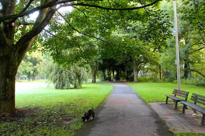 c0153740_19134233.jpg