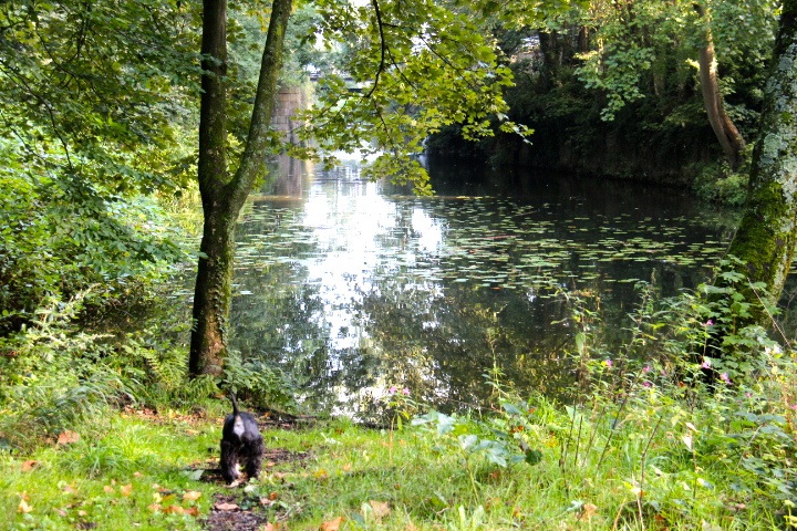 c0153740_19151079.jpg