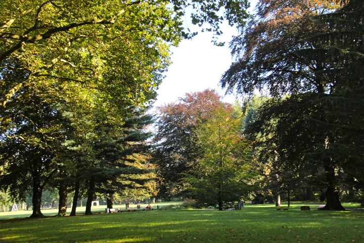 c0153740_19164685.jpg