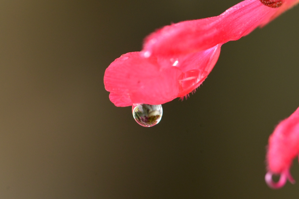 e0095142_20114694.jpg