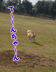 f0195543_16302595.jpg