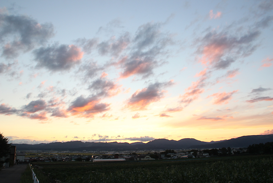 b0250154_21461544.jpg