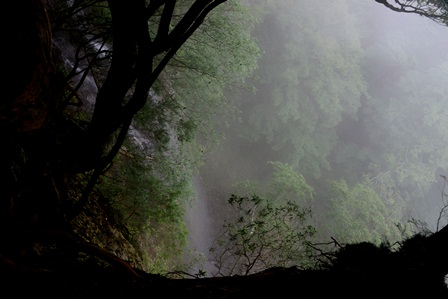 c0303868_7123325.jpg