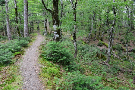 c0303868_713412.jpg