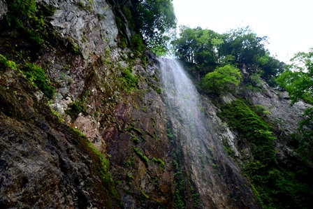 c0303868_7474160.jpg