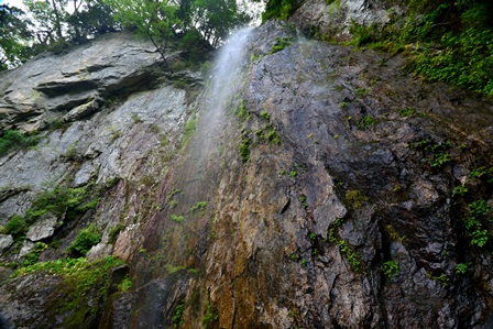 c0303868_795216.jpg