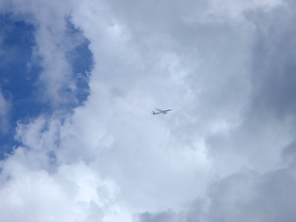 b0247073_17413690.jpg