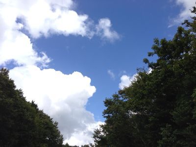 a0187575_2314366.jpg