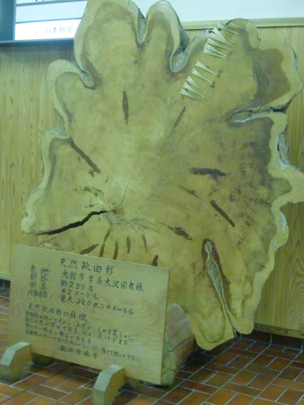 f0238779_16274113.jpg