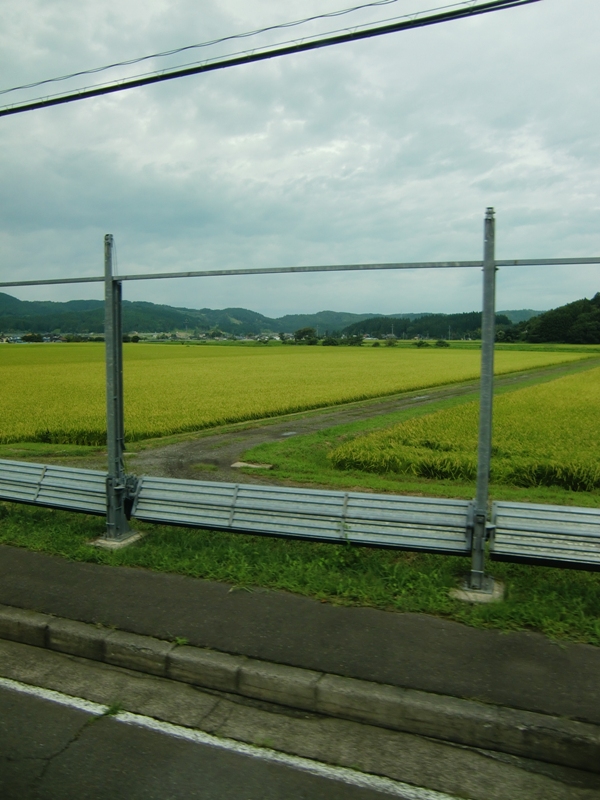 f0238779_1630217.jpg