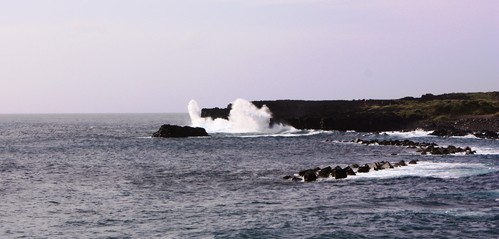 c0204385_23155859.jpg