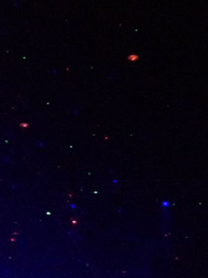 e0078187_17372172.jpg