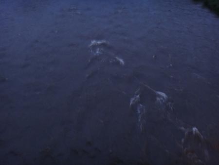 c0146788_9424120.jpg