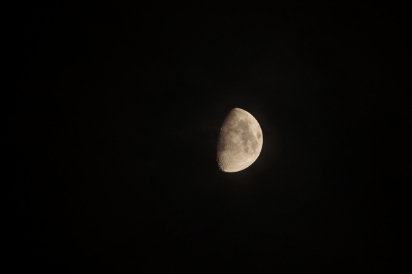 a0243590_65159.jpg