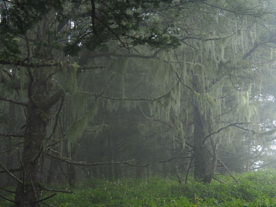 c0134193_22163337.jpg