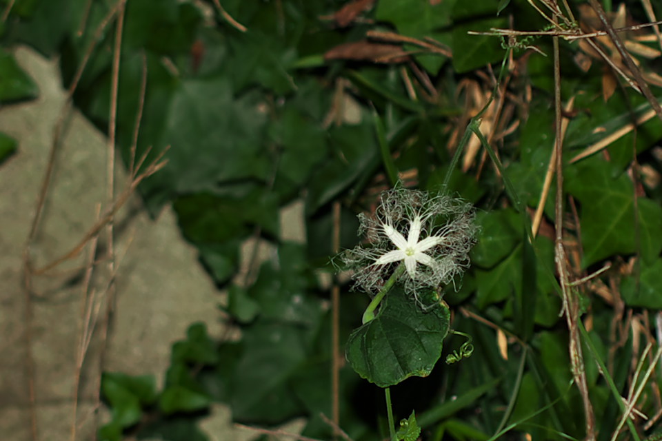 d0248494_18554999.jpg