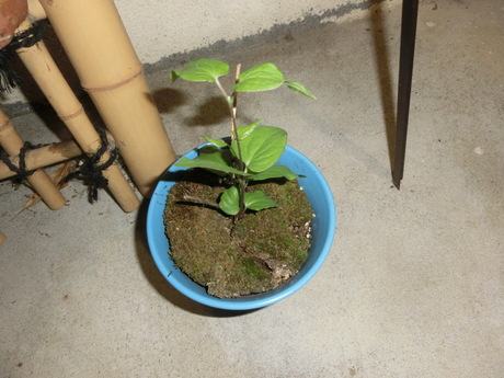 a0203003_13235230.jpg