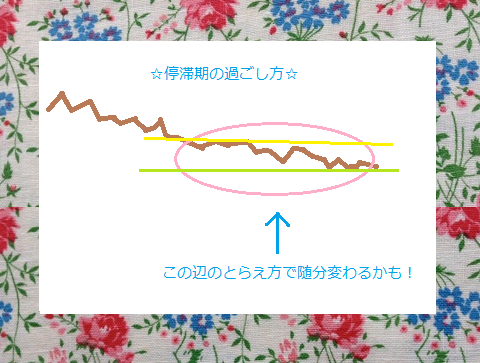 f0113108_16161537.png