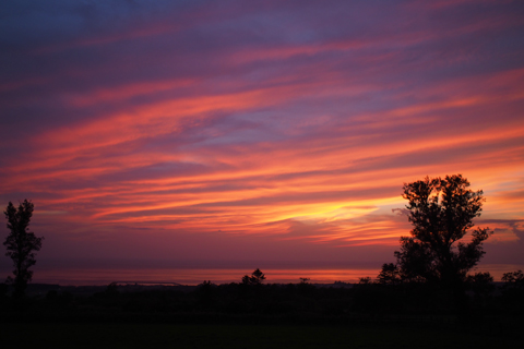 d0063314_20135241.jpg