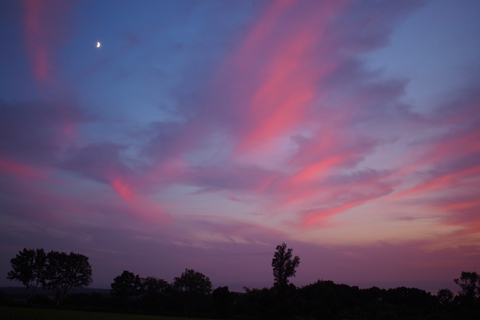 d0063314_2014849.jpg