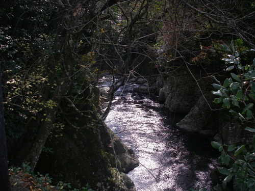 a0315918_1010154.jpg