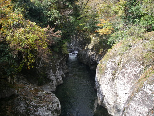 a0315918_1084544.jpg