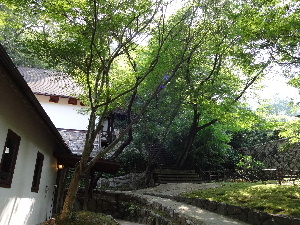 a0157619_21415257.jpg