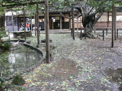 e0135219_157658.jpg