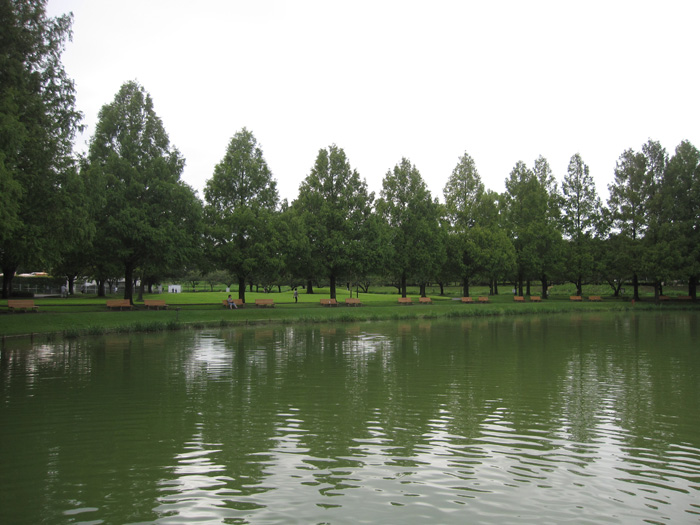e0244621_104163.jpg