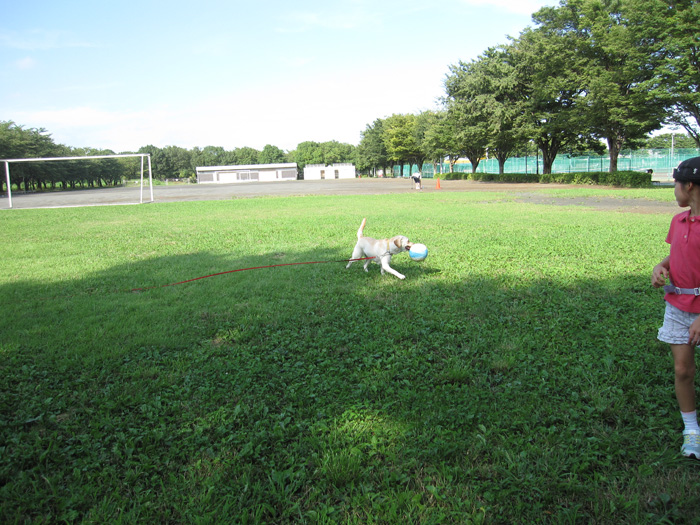 e0244621_9382124.jpg