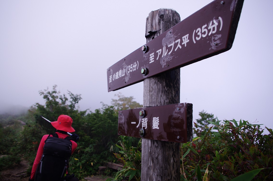 b0062024_11394657.jpg