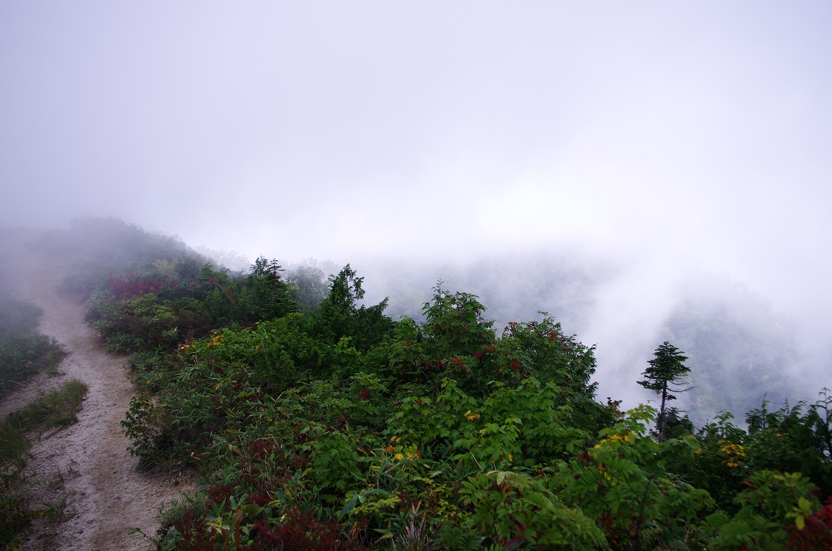 b0062024_11435741.jpg