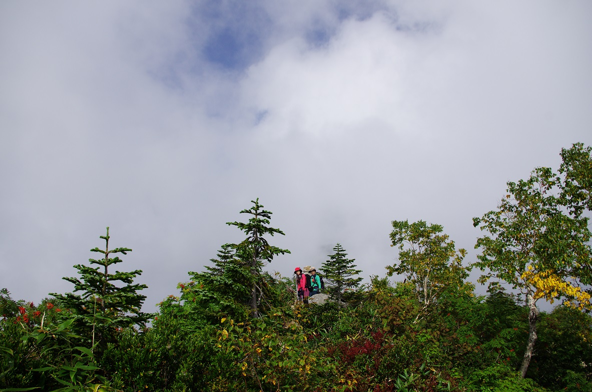 b0062024_11452716.jpg