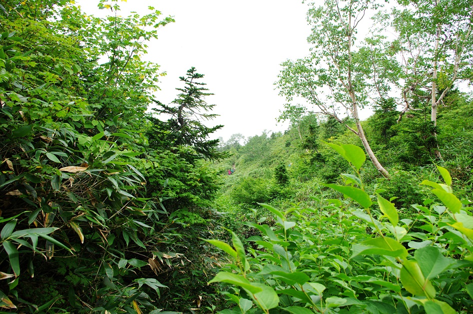 b0062024_12103462.jpg
