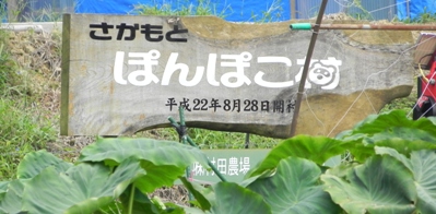 f0213825_11531353.jpg