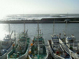 b0252727_717236.jpg