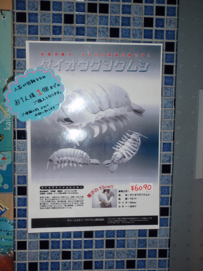 c0034029_914869.jpg